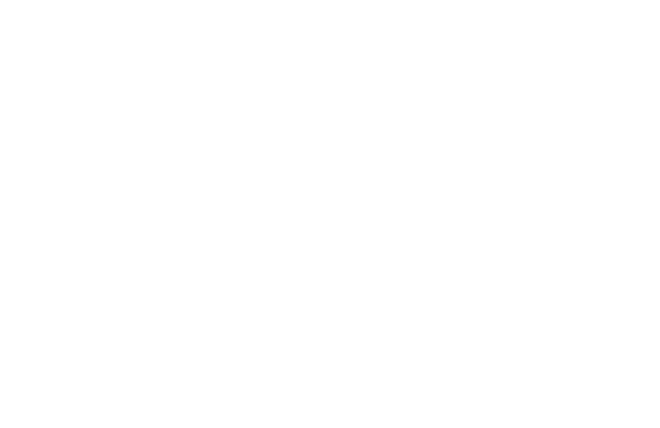 obraza net